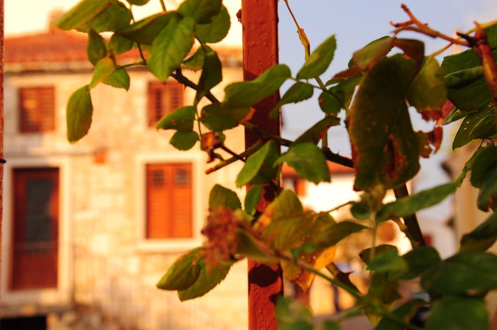 Nebojsega B&B Santa Croce Mare Exteriör bild